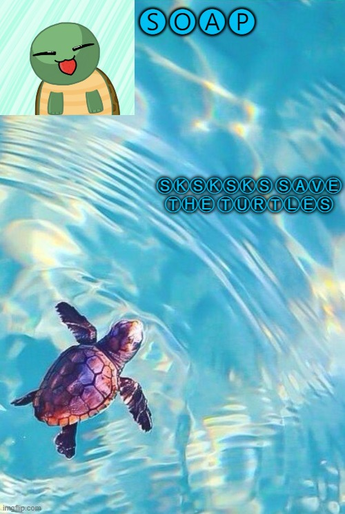 Soaps turtle temp Blank Meme Template