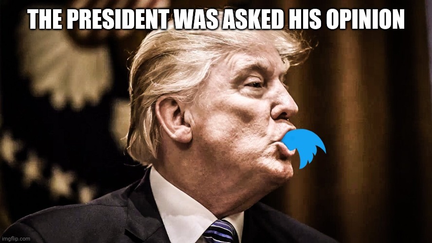 Trump Twitter | THE PRESIDENT WAS ASKED HIS OPINION | image tagged in trump twitter | made w/ Imgflip meme maker