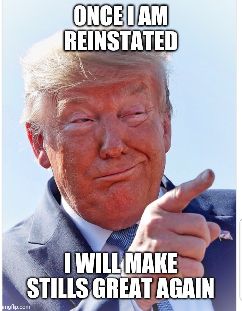 Trump pointing | ONCE I AM REINSTATED I WILL MAKE STILLS GREAT AGAIN | image tagged in trump pointing | made w/ Imgflip meme maker