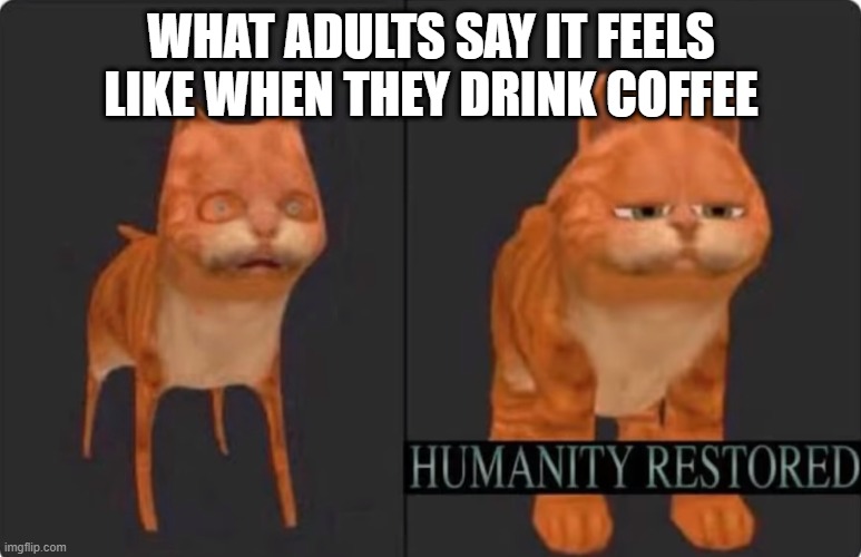 humanity restored |  WHAT ADULTS SAY IT FEELS LIKE WHEN THEY DRINK COFFEE | image tagged in humanity restored | made w/ Imgflip meme maker