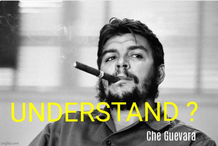 Understand! | image tagged in che guevara,attitude | made w/ Imgflip meme maker