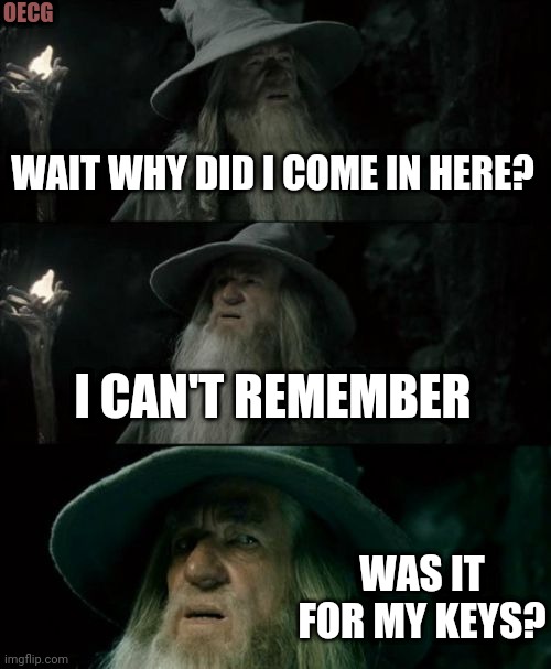 Wait why did I come in here | OECG; WAIT WHY DID I COME IN HERE? I CAN'T REMEMBER; WAS IT FOR MY KEYS? | image tagged in memes,confused gandalf | made w/ Imgflip meme maker