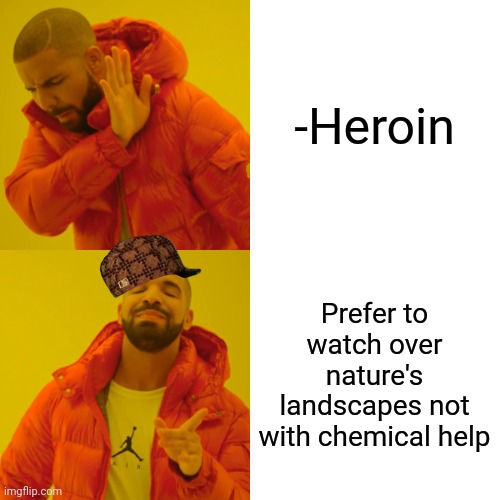 -Rehab did the noise. | -Heroin; Prefer to watch over nature's landscapes not with chemical help | image tagged in memes,drake hotline bling,heroin,finding neverland,don't do drugs,my chemical romance | made w/ Imgflip meme maker