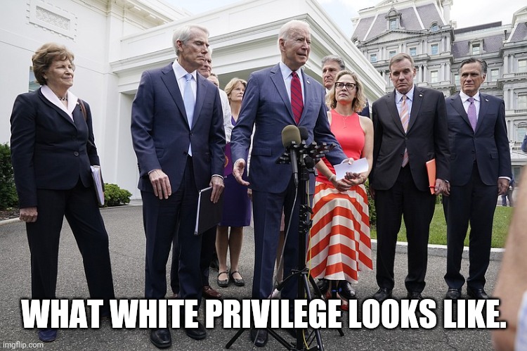 White privilege exists in DC. | WHAT WHITE PRIVILEGE LOOKS LIKE. | image tagged in memes | made w/ Imgflip meme maker