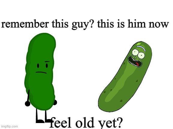 "I turned myself into a pickle Morty!" | remember this guy? this is him now; feel old yet? | image tagged in blank white template | made w/ Imgflip meme maker