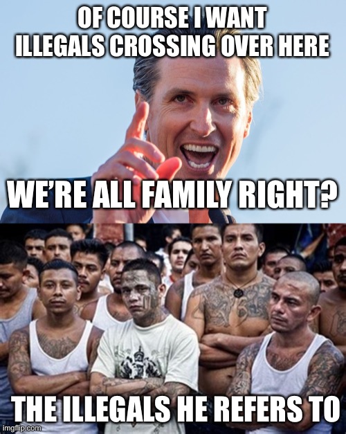 Newsom must go.... | OF COURSE I WANT ILLEGALS CROSSING OVER HERE; WE’RE ALL FAMILY RIGHT? THE ILLEGALS HE REFERS TO | image tagged in insane idiot gavin newsom,ms13 family pic,illegal immigration | made w/ Imgflip meme maker