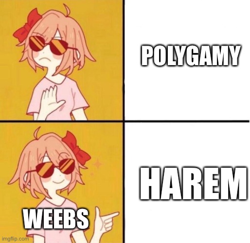 no yes girl | POLYGAMY; HAREM; WEEBS | image tagged in no yes girl | made w/ Imgflip meme maker