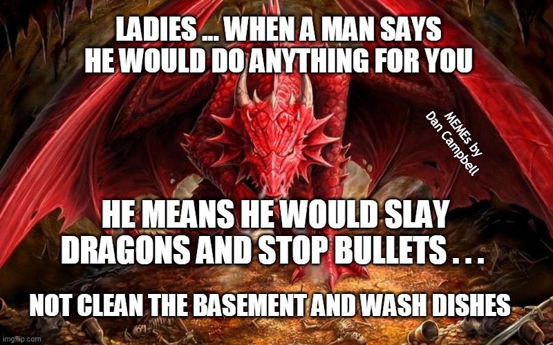 Angry dragon | LADIES ... WHEN A MAN SAYS HE WOULD DO ANYTHING FOR YOU; MEMEs by Dan Campbell; HE MEANS HE WOULD SLAY DRAGONS AND STOP BULLETS . . . NOT CLEAN THE BASEMENT AND WASH DISHES | image tagged in angry dragon | made w/ Imgflip meme maker