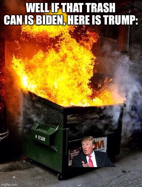 Dumpster Fire | WELL IF THAT TRASH CAN IS BIDEN, HERE IS TRUMP: | image tagged in dumpster fire | made w/ Imgflip meme maker