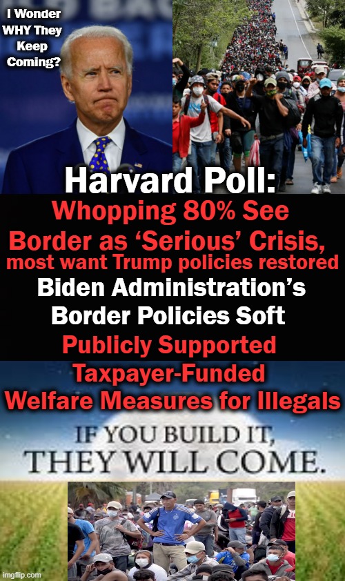 We Have NO COUNTRY Without Borders and Law & Order | I Wonder WHY They 
Keep 
Coming? Harvard Poll:; Whopping 80% See Border as ‘Serious’ Crisis, most want Trump policies restored; Biden Administration’s 
Border Policies Soft; Publicly Supported 
Taxpayer-Funded 
Welfare Measures for Illegals | image tagged in politics,democratic socialism,joe biden,america,illegal immigration,common sense | made w/ Imgflip meme maker