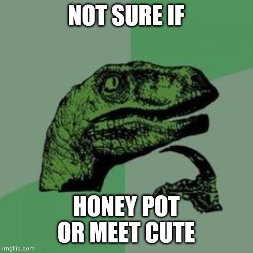 Randotron | NOT SURE IF; HONEY POT
OR MEET CUTE | image tagged in time raptor | made w/ Imgflip meme maker