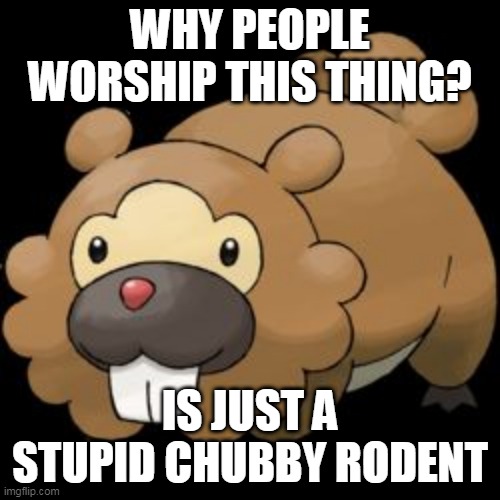 is bidoof not jesus | WHY PEOPLE WORSHIP THIS THING? IS JUST A STUPID CHUBBY RODENT | image tagged in bidoof,pokemon go,troll,pokemon memes,truth,jesus | made w/ Imgflip meme maker
