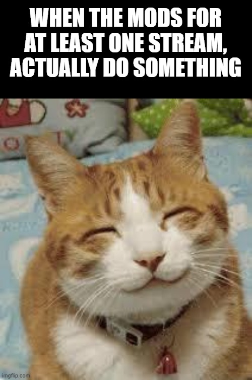 Happy cat | WHEN THE MODS FOR AT LEAST ONE STREAM, ACTUALLY DO SOMETHING | image tagged in happy cat | made w/ Imgflip meme maker