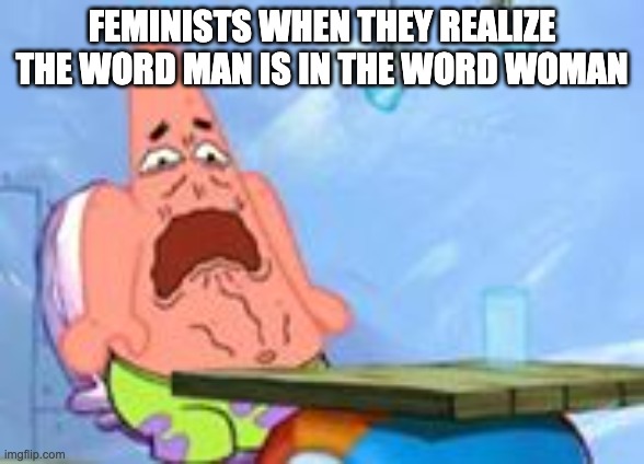 argh | FEMINISTS WHEN THEY REALIZE THE WORD MAN IS IN THE WORD WOMAN | image tagged in argh | made w/ Imgflip meme maker
