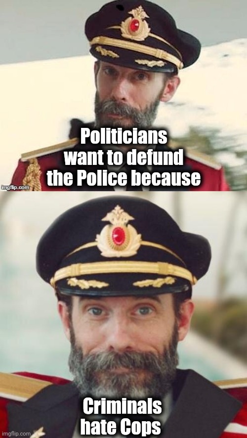 Obvious | Politicians want to defund the Police because Criminals hate Cops | image tagged in captain obvious,politicians suck,crooks,liars,parasites | made w/ Imgflip meme maker