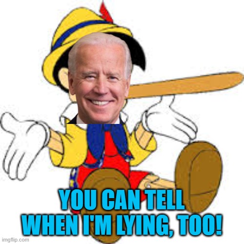 Pinnochio | YOU CAN TELL WHEN I'M LYING, TOO! | image tagged in pinnochio | made w/ Imgflip meme maker