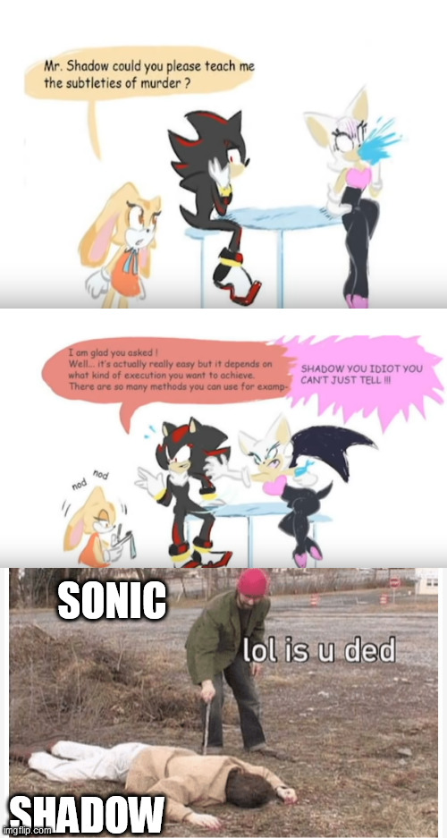 I'm back! | SONIC; SHADOW | image tagged in blank white template,lol is u ded | made w/ Imgflip meme maker