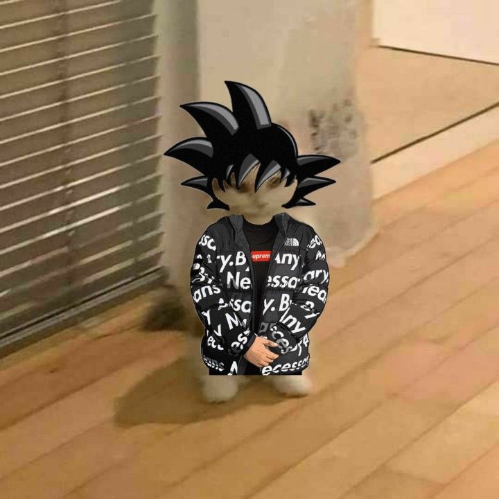 High Quality goku drip cat Blank Meme Template