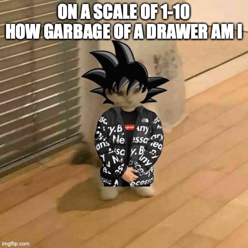 goku drip cat | ON A SCALE OF 1-10 HOW GARBAGE OF A DRAWER AM I | image tagged in goku drip cat | made w/ Imgflip meme maker