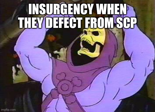 Chaos insurgency | INSURGENCY WHEN THEY DEFECT FROM SCP | image tagged in you fool skeletor | made w/ Imgflip meme maker