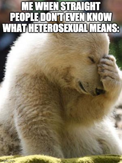 Facepalm Bear Meme | ME WHEN STRAIGHT PEOPLE DON'T EVEN KNOW WHAT HETEROSEXUAL MEANS: | image tagged in memes,facepalm bear | made w/ Imgflip meme maker