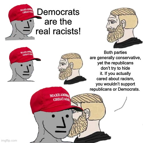 I’ve realized that both parties suck, just the Democrats slightly suck less. | Democrats are the real racists! Both parties are generally conservative, yet the republicans don’t try to hide it. If you actually cared about racism, you wouldn’t support republicans or Democrats. | image tagged in chad approaching npc | made w/ Imgflip meme maker