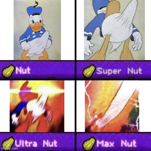 Nut chart | image tagged in nut chart | made w/ Imgflip meme maker