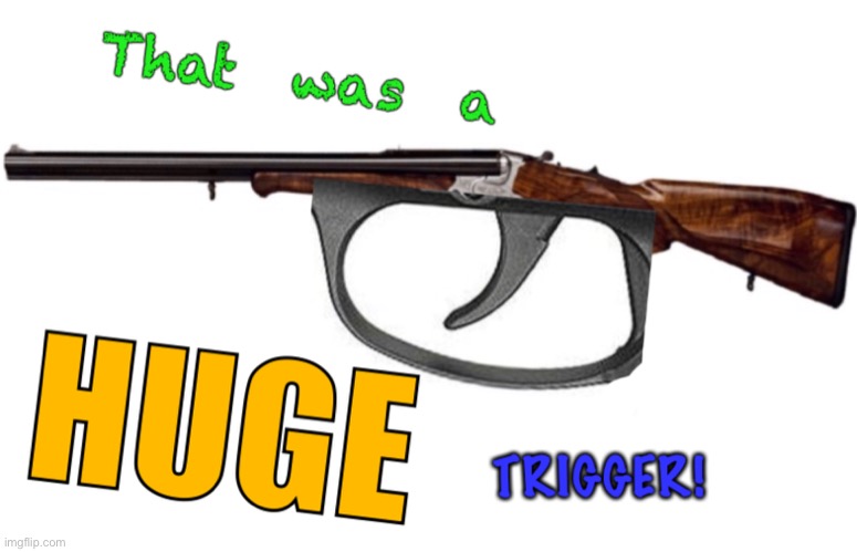 That was a HUGE trigger! | image tagged in that was a huge trigger | made w/ Imgflip meme maker