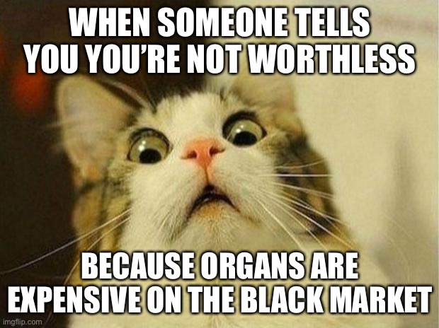 oof | WHEN SOMEONE TELLS YOU YOU’RE NOT WORTHLESS; BECAUSE ORGANS ARE EXPENSIVE ON THE BLACK MARKET | image tagged in memes,scared cat,dark humor,funny,cats,organ | made w/ Imgflip meme maker
