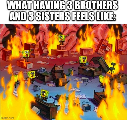 ✨ U L T I M A T E   C H A O S ✨ | WHAT HAVING 3 BROTHERS AND 3 SISTERS FEELS LIKE: | image tagged in spongebob brain chaos | made w/ Imgflip meme maker