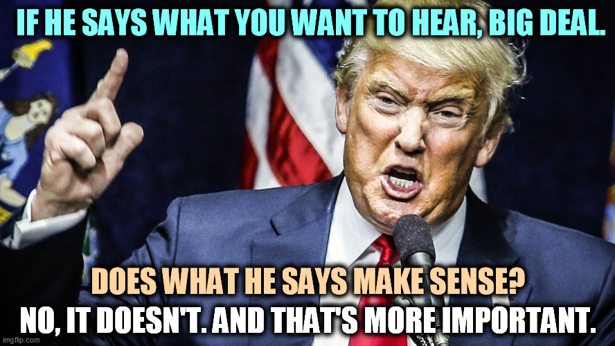 Trump's nonsense helps his position, but doesn't do a d*mn thing for your life. | IF HE SAYS WHAT YOU WANT TO HEAR, BIG DEAL. DOES WHAT HE SAYS MAKE SENSE? NO, IT DOESN'T. AND THAT'S MORE IMPORTANT. | image tagged in trump,selfish,nonsense | made w/ Imgflip meme maker