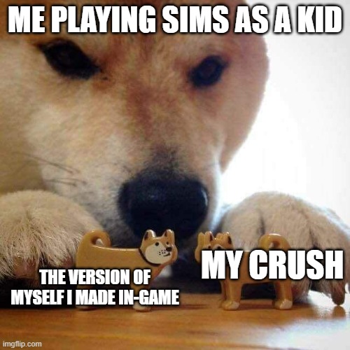 Doge Kiss | ME PLAYING SIMS AS A KID; THE VERSION OF MYSELF I MADE IN-GAME; MY CRUSH | image tagged in doge kiss | made w/ Imgflip meme maker