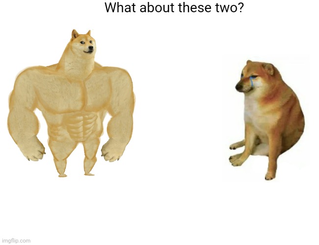 Buff Doge vs. Cheems Meme | What about these two? | image tagged in memes,buff doge vs cheems | made w/ Imgflip meme maker