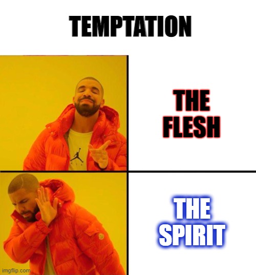 Temptation, the flesh vs the spirit | TEMPTATION; THE FLESH; THE SPIRIT | image tagged in drake yes no reverse | made w/ Imgflip meme maker
