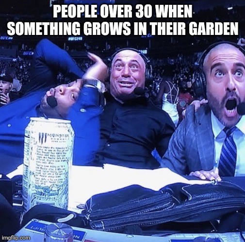 UFC flip out | PEOPLE OVER 30 WHEN SOMETHING GROWS IN THEIR GARDEN | image tagged in ufc flip out | made w/ Imgflip meme maker