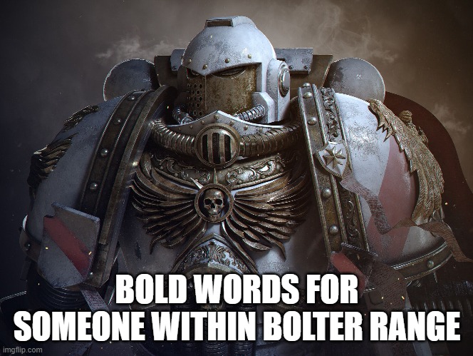 BOLD WORDS FOR SOMEONE WITHIN BOLTER RANGE | image tagged in warhammer40k | made w/ Imgflip meme maker