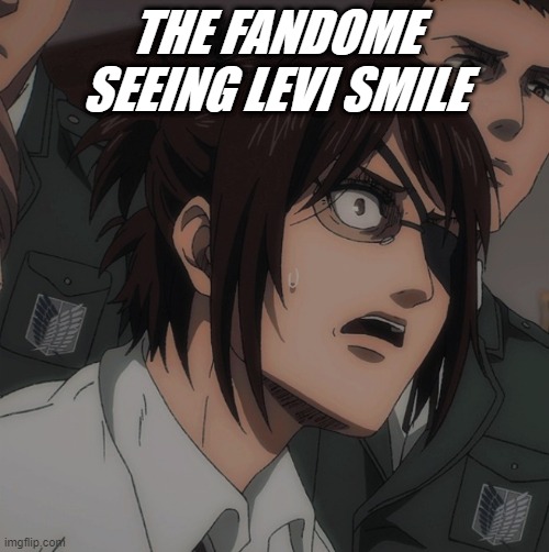 tell me im wrong | THE FANDOME SEEING LEVI SMILE | image tagged in levi,aot,attack on titan | made w/ Imgflip meme maker
