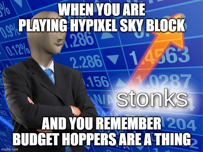 INFINITE MONEY | WHEN YOU ARE PLAYING HYPIXEL SKY BLOCK; AND YOU REMEMBER BUDGET HOPPERS ARE A THING | image tagged in stonks,minecraft | made w/ Imgflip meme maker