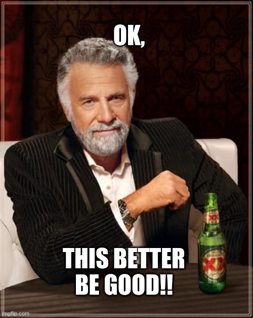 The Most Interesting Man In The World | OK, THIS BETTER BE GOOD!! | image tagged in memes,the most interesting man in the world | made w/ Imgflip meme maker