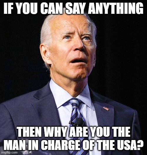 Joe Biden | IF YOU CAN SAY ANYTHING; THEN WHY ARE YOU THE MAN IN CHARGE OF THE USA? | image tagged in joe biden | made w/ Imgflip meme maker