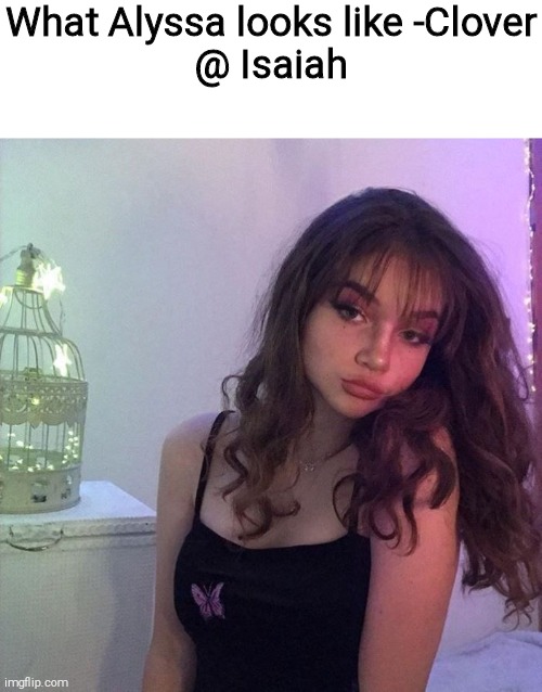 What Alyssa looks like -Clover
@ Isaiah | made w/ Imgflip meme maker