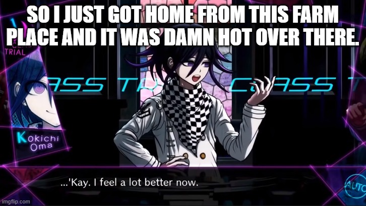 Sometimes I hate living in Texas | SO I JUST GOT HOME FROM THIS FARM PLACE AND IT WAS DAMN HOT OVER THERE. | image tagged in kay i feel a lot better now | made w/ Imgflip meme maker