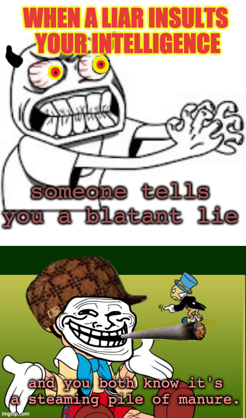 WHEN A LIAR INSULTS
 YOUR INTELLIGENCE; someone tells you a blatant lie; and you both know it's a steaming pile of manure. | image tagged in choking rage meme,liar | made w/ Imgflip meme maker
