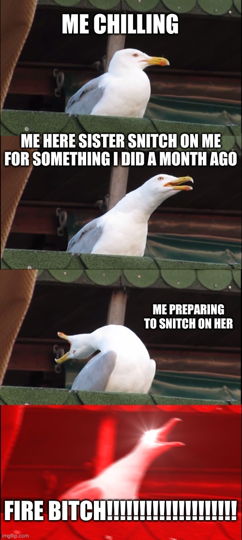 no no he has a point | ME CHILLING; ME HERE SISTER SNITCH ON ME FOR SOMETHING I DID A MONTH AGO; ME PREPARING TO SNITCH ON HER; FIRE BITCH!!!!!!!!!!!!!!!!!!!! | image tagged in memes,inhaling seagull | made w/ Imgflip meme maker