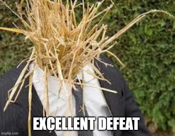 strawman | EXCELLENT DEFEAT | image tagged in strawman | made w/ Imgflip meme maker