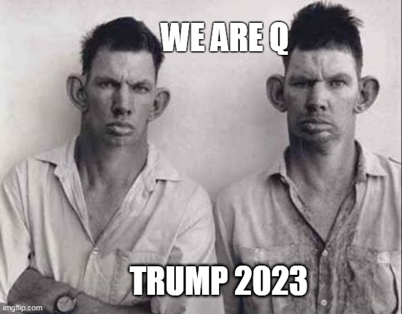 Trump Q Twins | WE ARE Q; TRUMP 2023 | image tagged in trump twins,maga,qanon,q | made w/ Imgflip meme maker