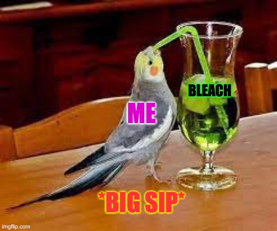 mmm that good Clorox brand | ME; BLEACH; *BIG SIP* | image tagged in drink bleach,big sip,bird | made w/ Imgflip meme maker