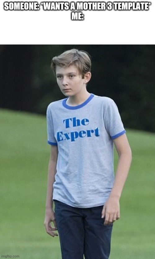 The e x p e r t | SOMEONE: *WANTS A MOTHER 3 TEMPLATE*
ME: | image tagged in the expert | made w/ Imgflip meme maker