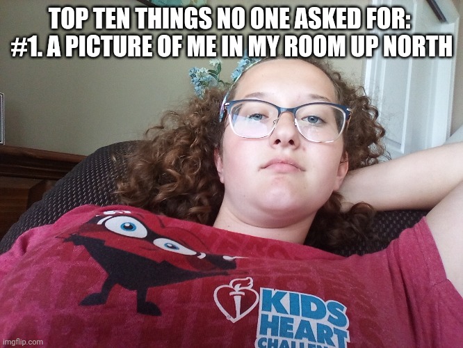 TOP TEN THINGS NO ONE ASKED FOR: 
#1. A PICTURE OF ME IN MY ROOM UP NORTH | made w/ Imgflip meme maker