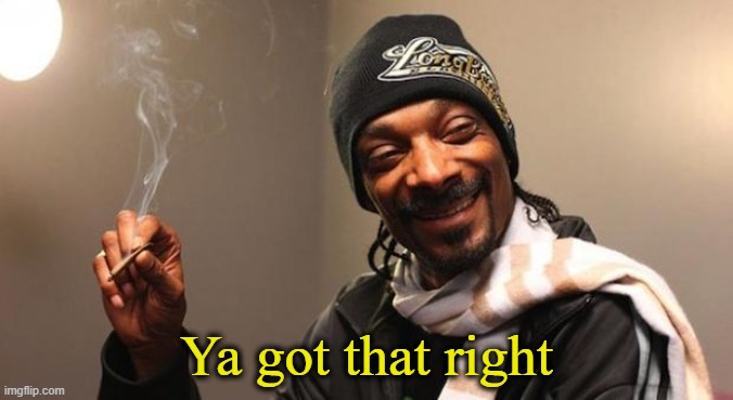Snoop Dogg | Ya got that right | image tagged in snoop dogg | made w/ Imgflip meme maker